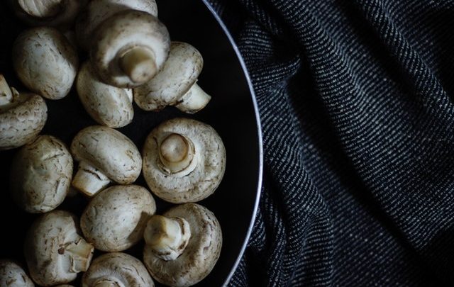 Mushrooms to Boost Energy and Performance