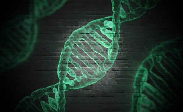 Dna Paternity Testing Facility