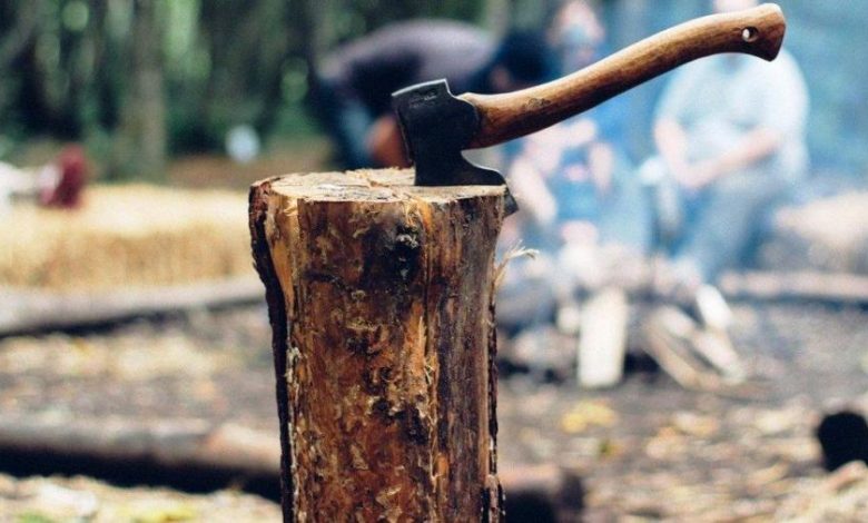 An axe in a wood
