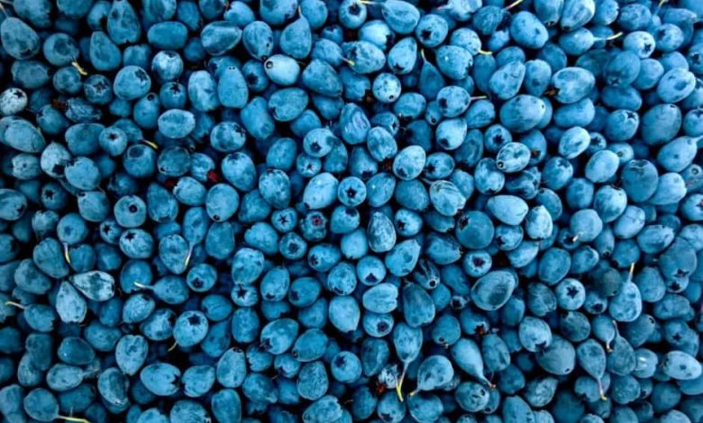 Super Berries