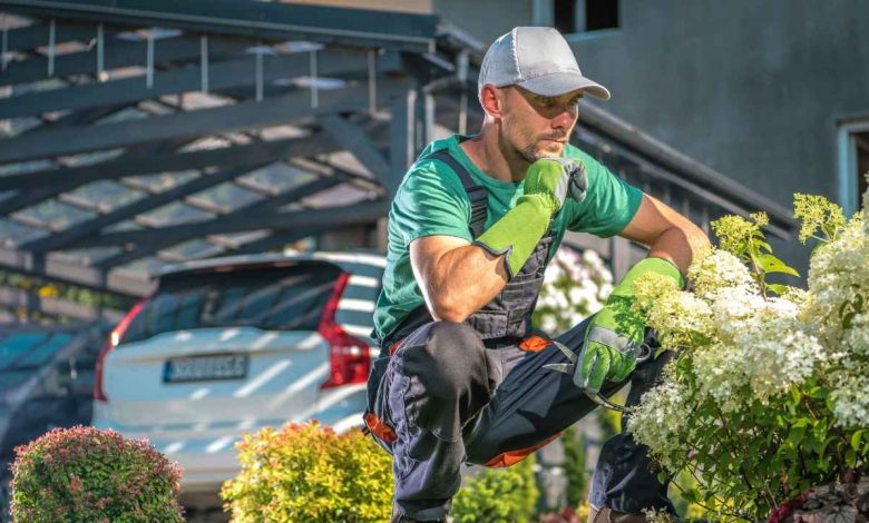 Garden Maintenance