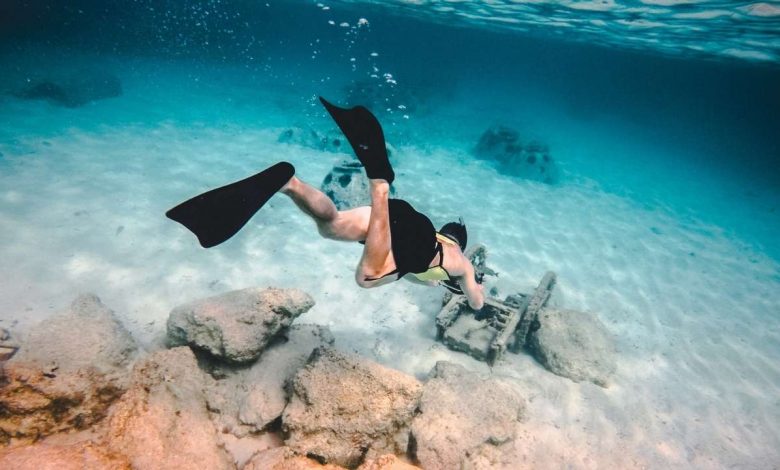Bodyboard Fins