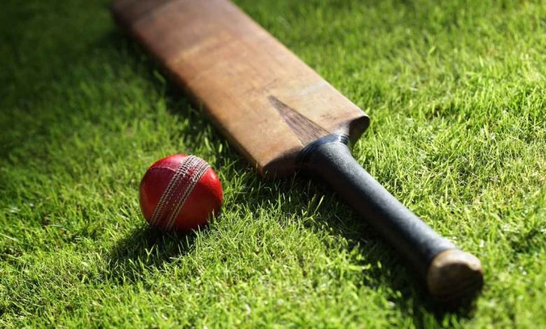 Cricket bat