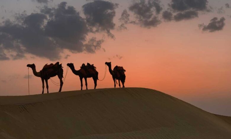 Rajasthan