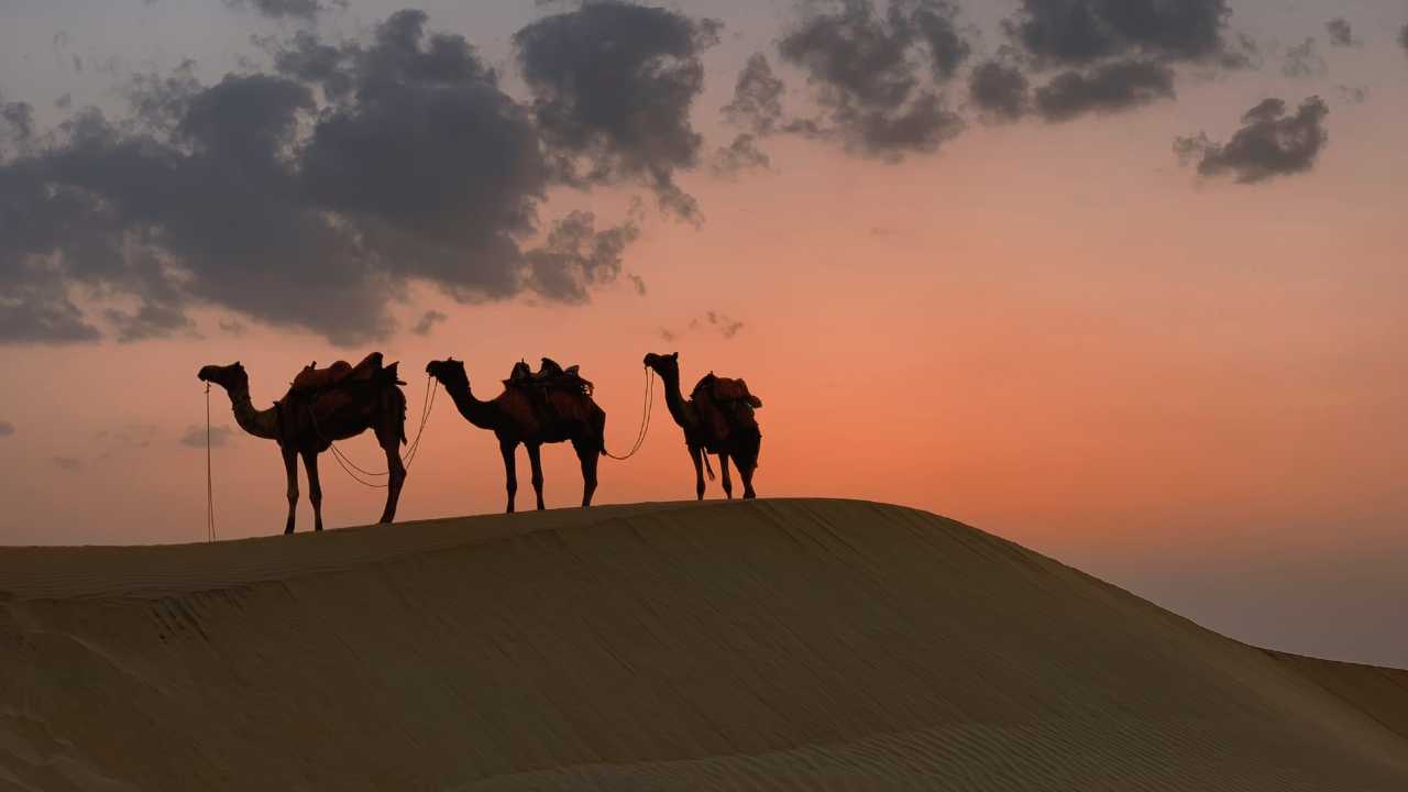 Rajasthan