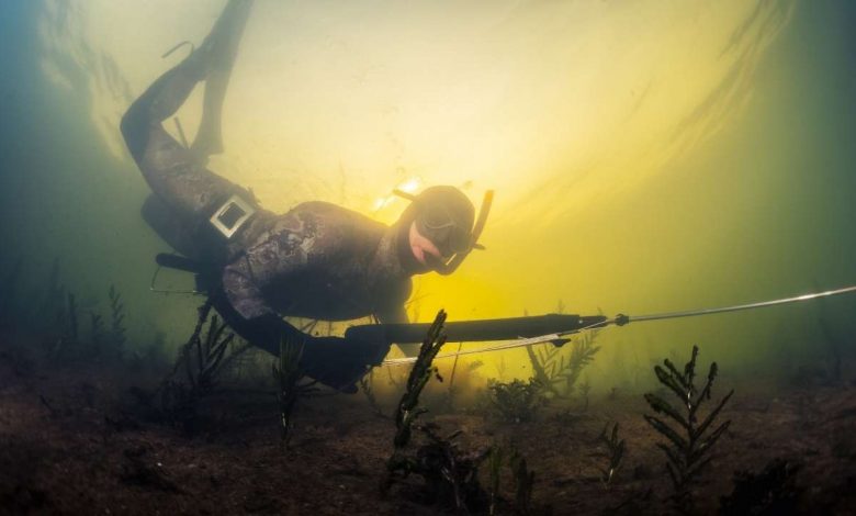 Spearfishing