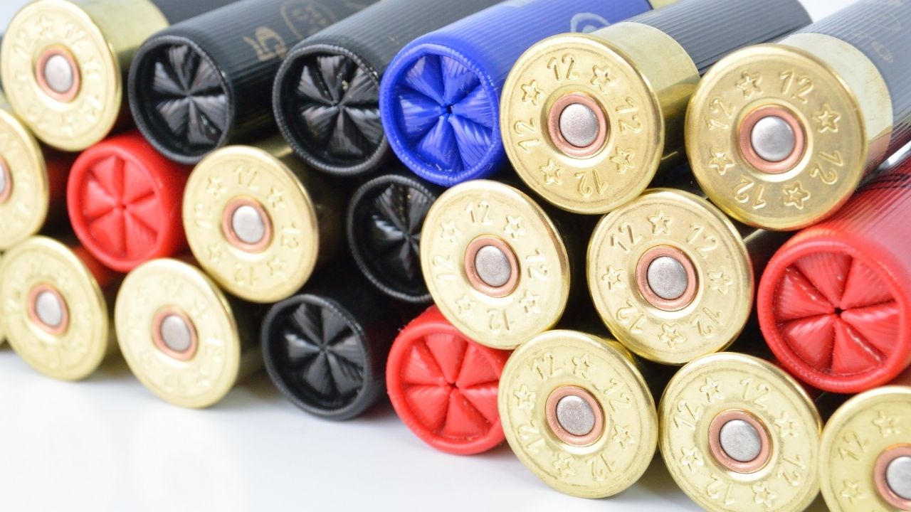 Can You Store Guns And Ammo Together?