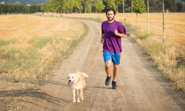 Dog with guy