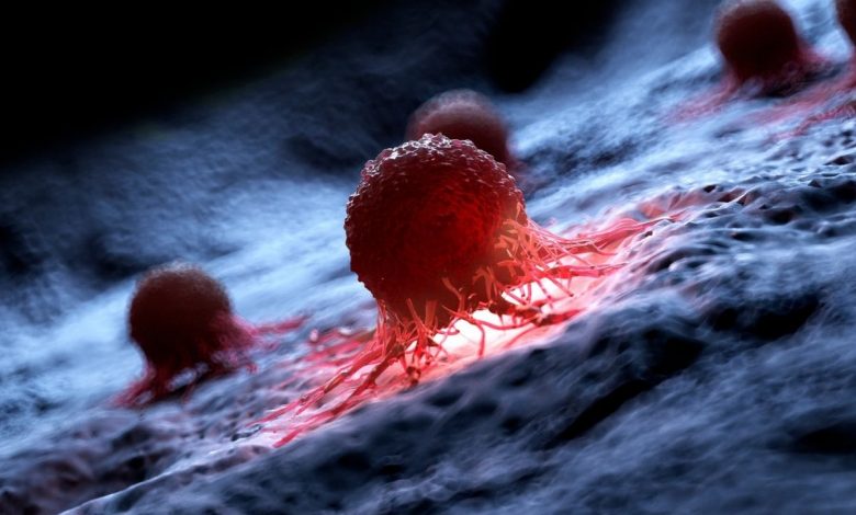 Cancer cell representation