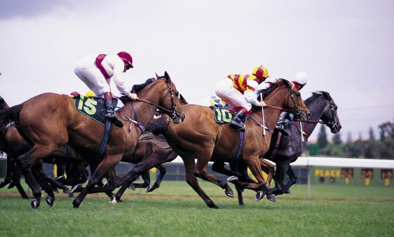 horse race
