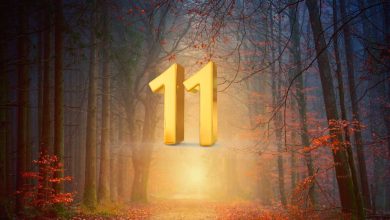 Twin Flame Life Path Number 11