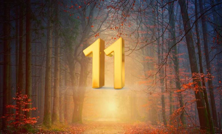 Twin Flame Life Path Number 11