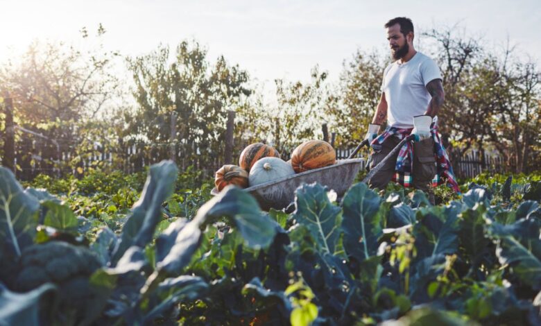 guy in farm