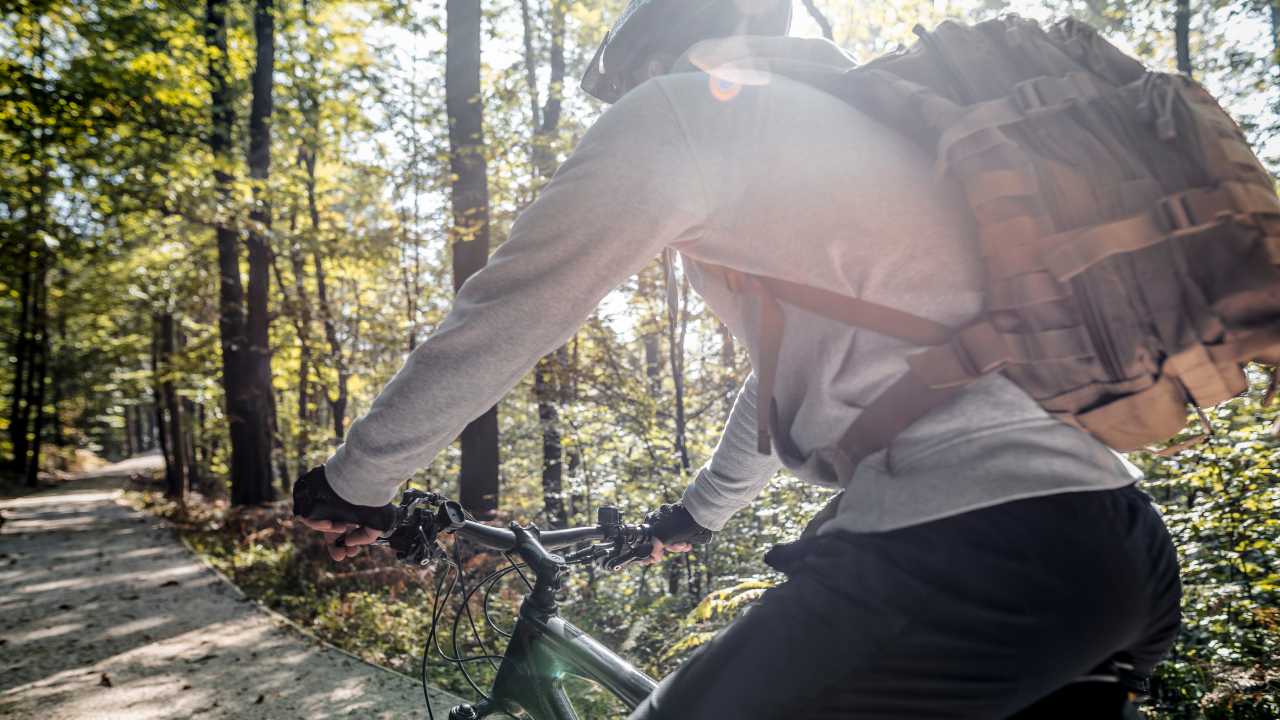 mountain biker