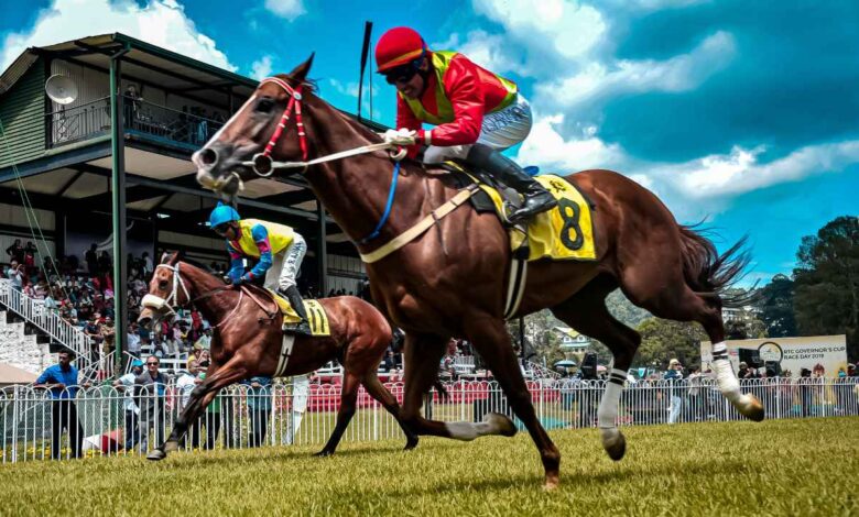 Horse Racing