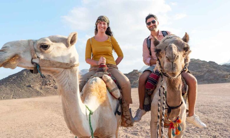 Travel Adventure