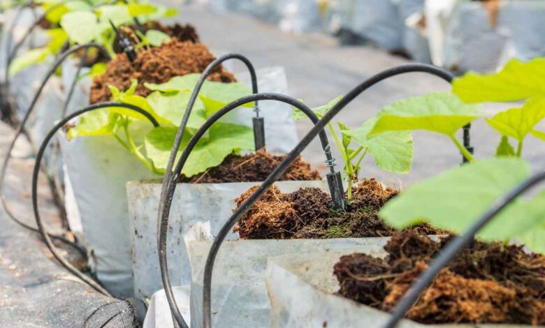 Smart garden