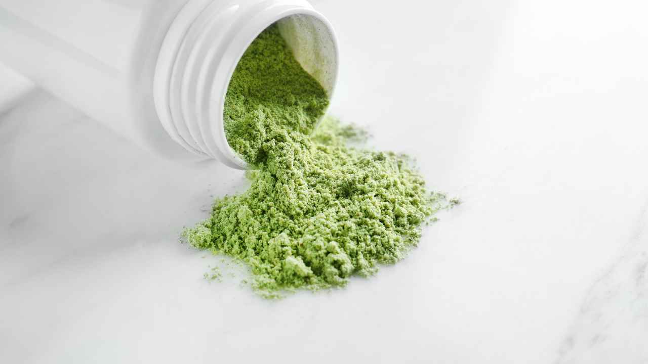 Moringa supplements