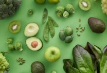 Plant-Based Protein
