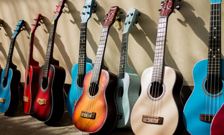 Acoustic Guitars