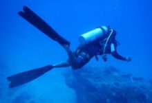 Scuba Diving