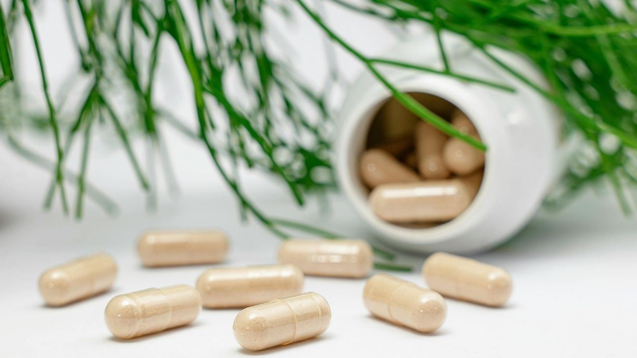 supplement