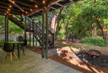 Backyard’s