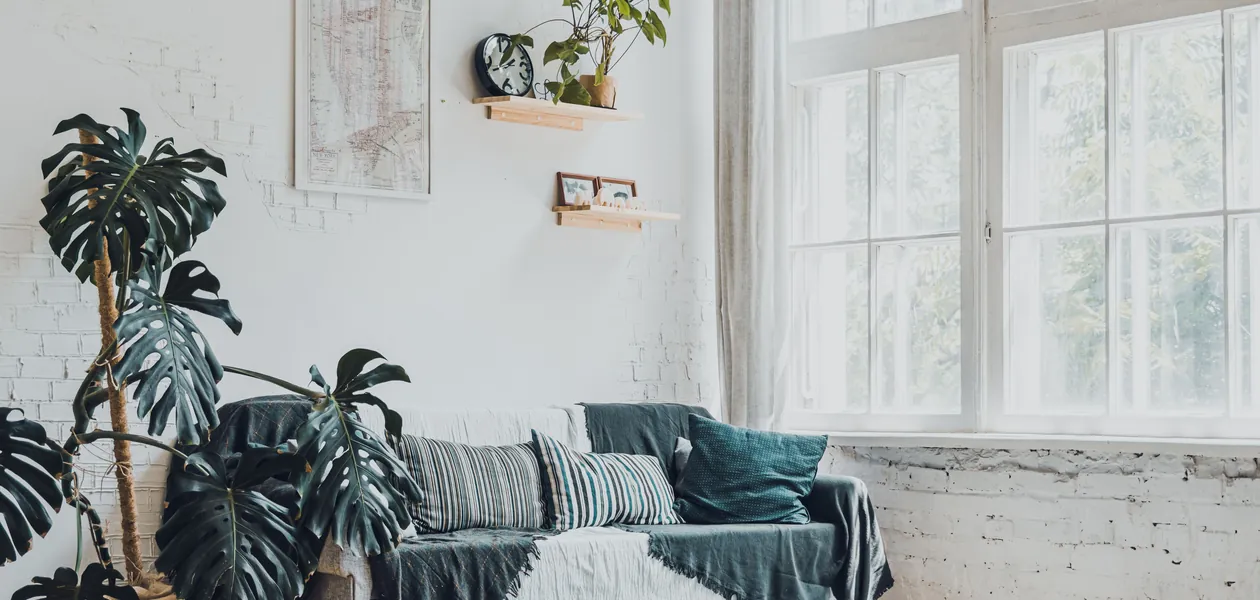 Bright living room with houseplants and neutral decor