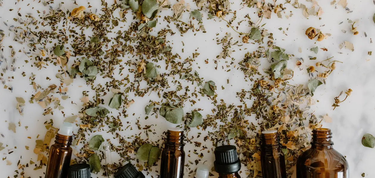 essential oils sometimes suggested as a home remedy for head lice