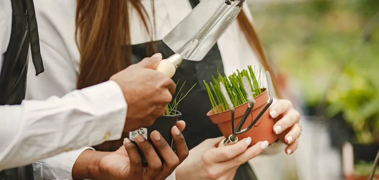 gardeners holding seedlings and potted plants ready for planting