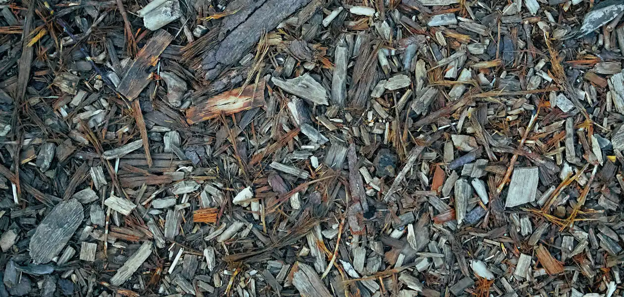 wood chip mulch spread on a garden bed