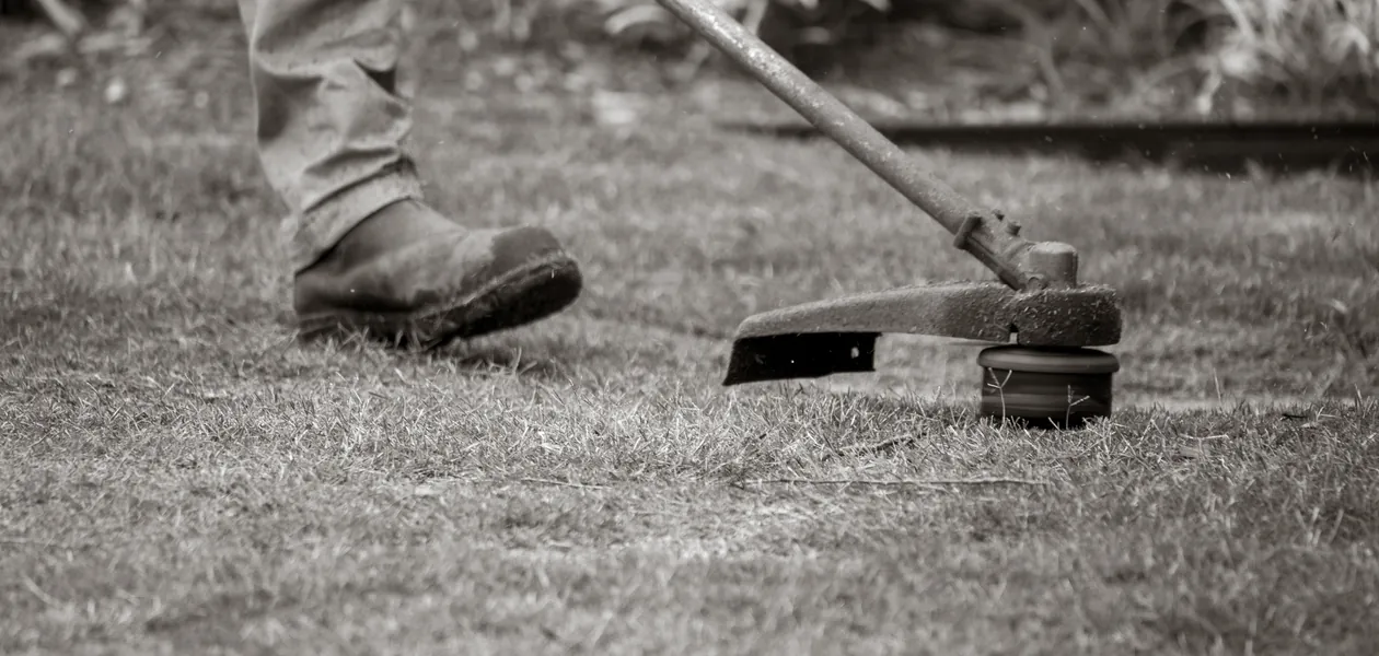 worker edging a lawn with a string trimmer