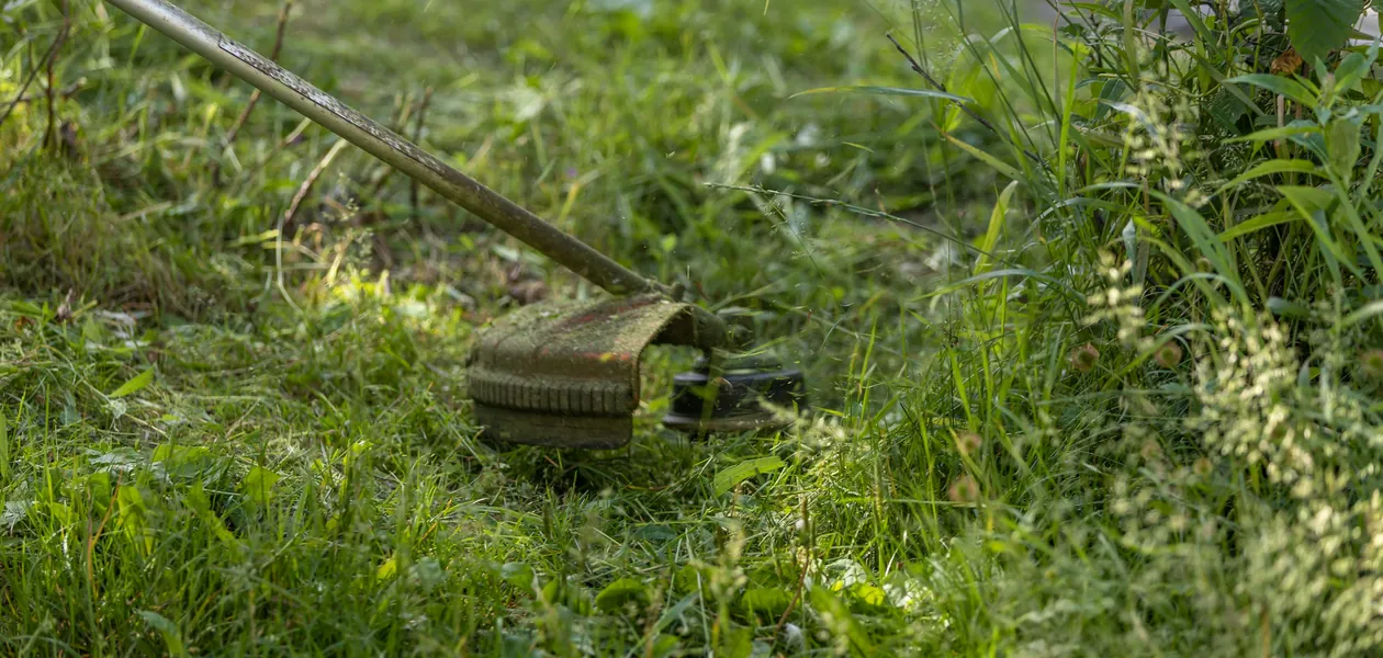 string trimmer cutting through a green lawn