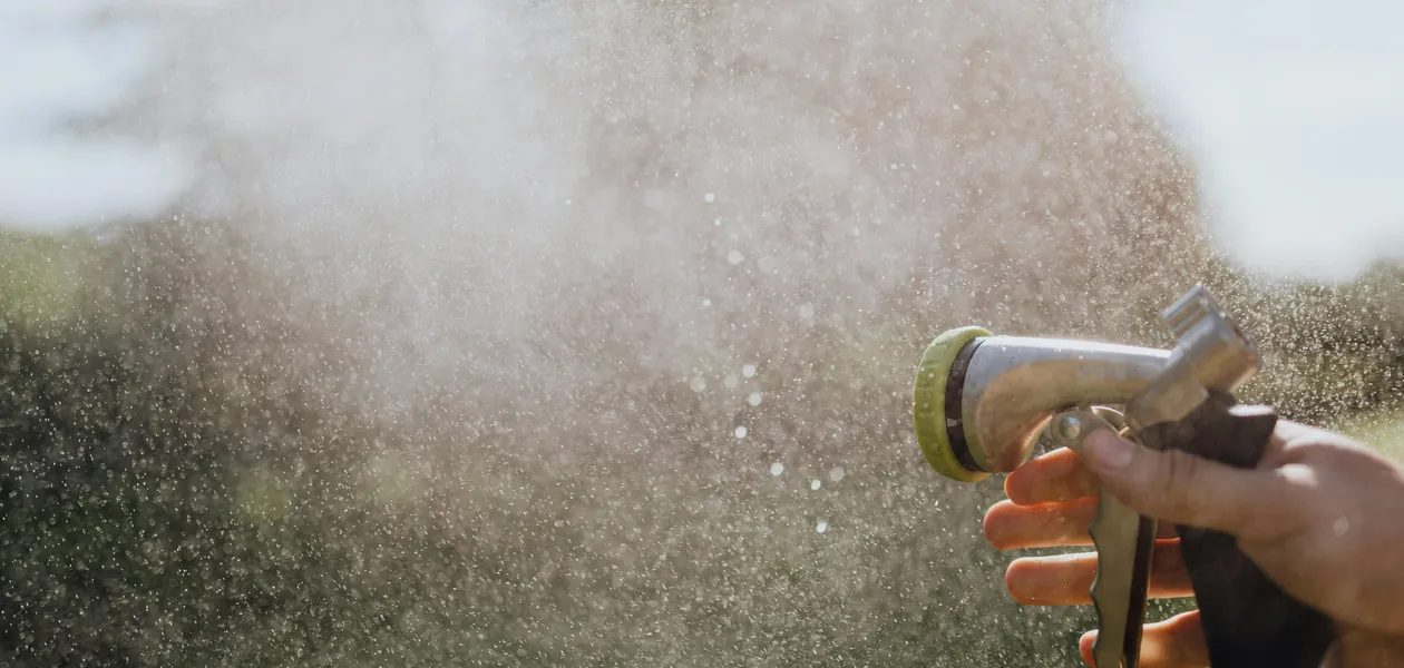 hand misting garden plants with a hose spray nozzle