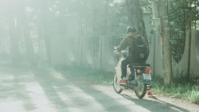 motorcycle rider on a sun-dappled country road